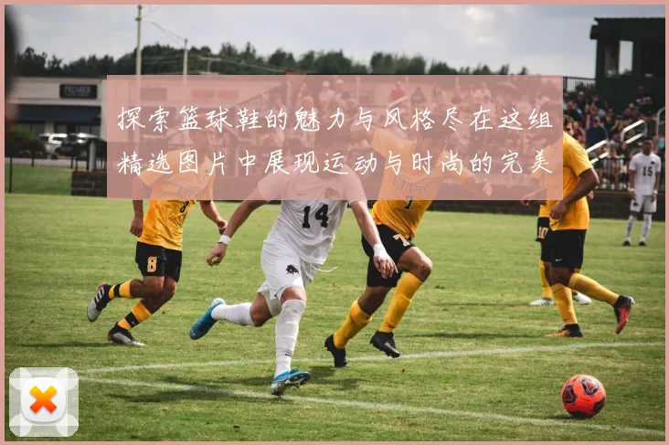 探索篮球鞋的魅力与风格尽在这组精选图片中展现运动与时尚的完美结合