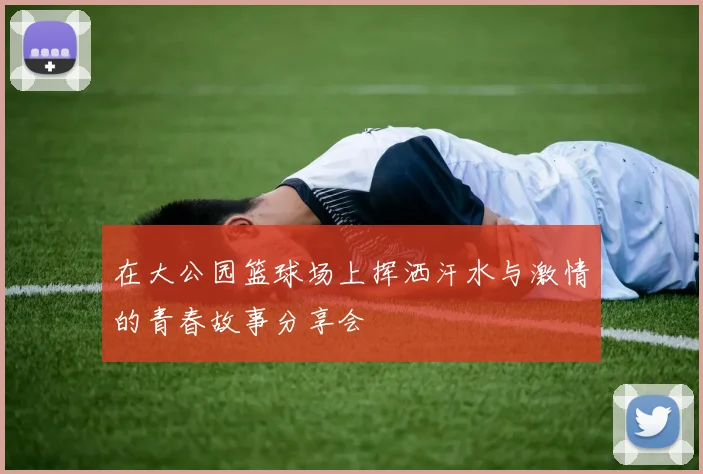 在大公园篮球场上挥洒汗水与激情的青春故事分享会