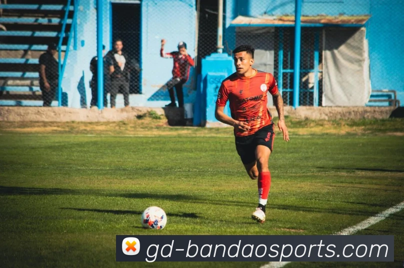 半岛体育服务体系